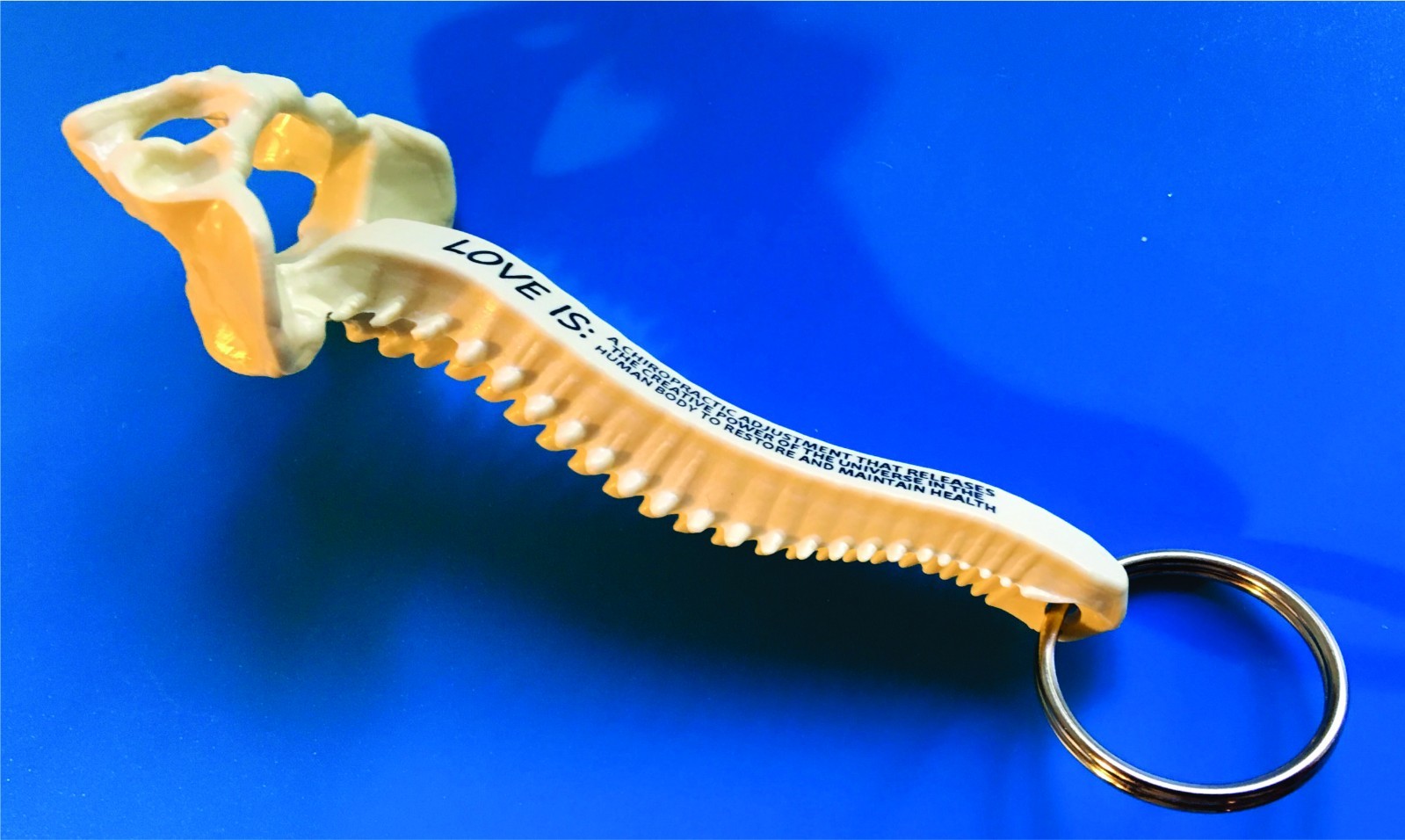 1000 PERSONALIZED SPINE KEY TAGS – KEY CHAIN – BAG OF BONES – CHIROPRACTIC