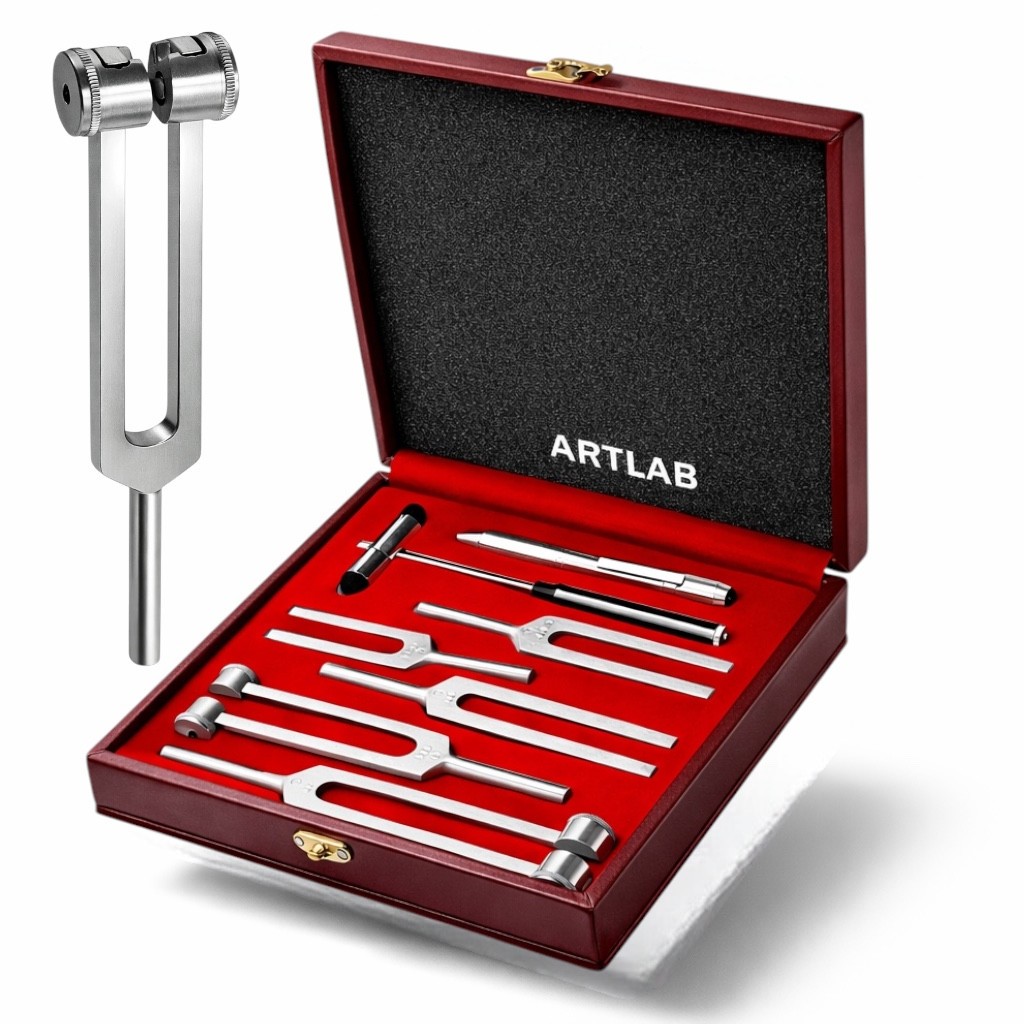 PREMIUM 6 Tuning Fork Set Medical Chiropractic Diagnostic instruments W/TAYLOR