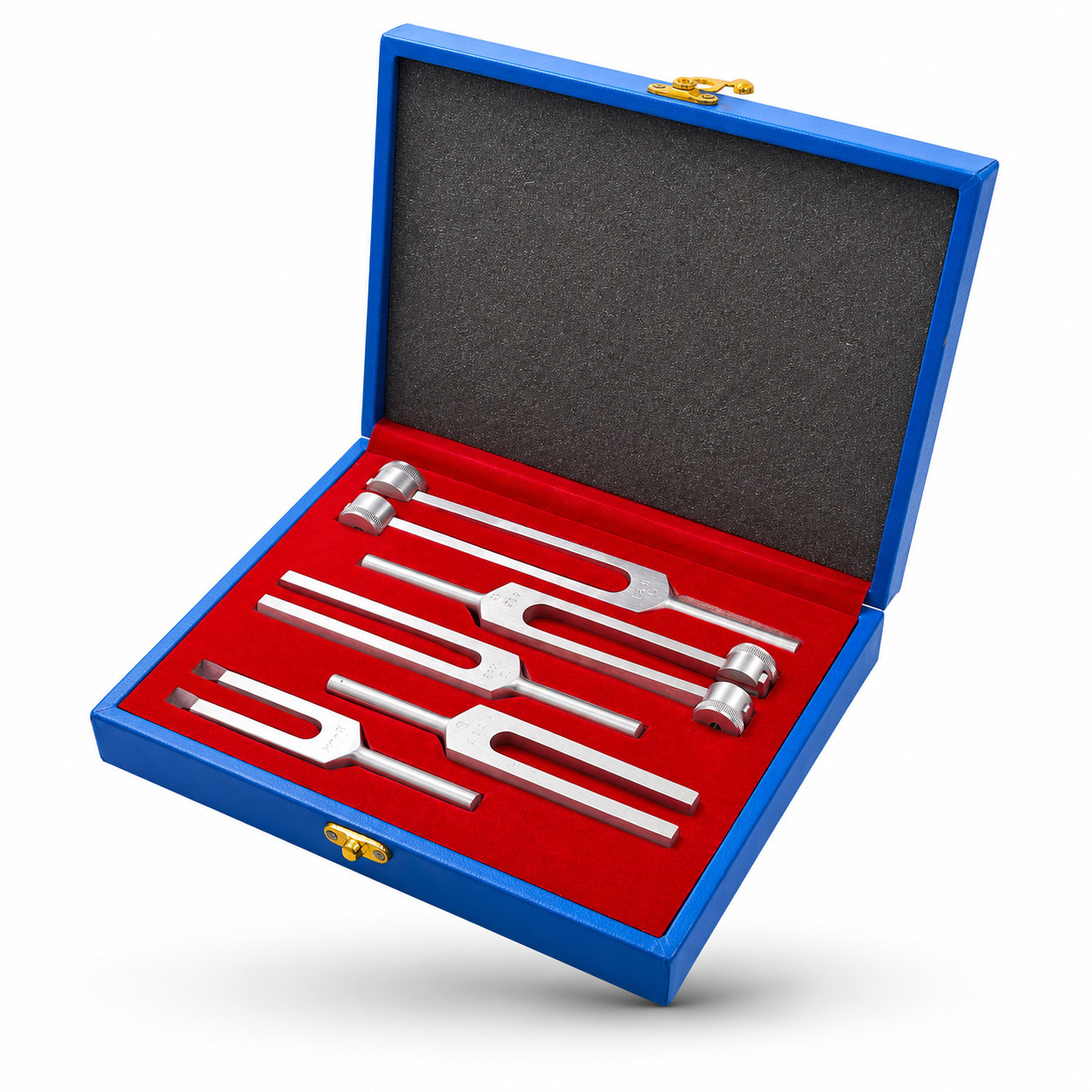 6 Tuning Fork Set Medical Chiropractic Physical Diagnostic instruments-W/HARD CS