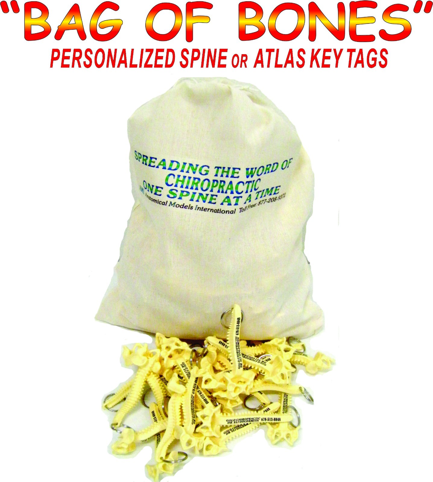 100 PERSONALIZED SPINE KEY TAGS – KEY CHAIN – BAG OF BONES – CHIROPRACTIC
