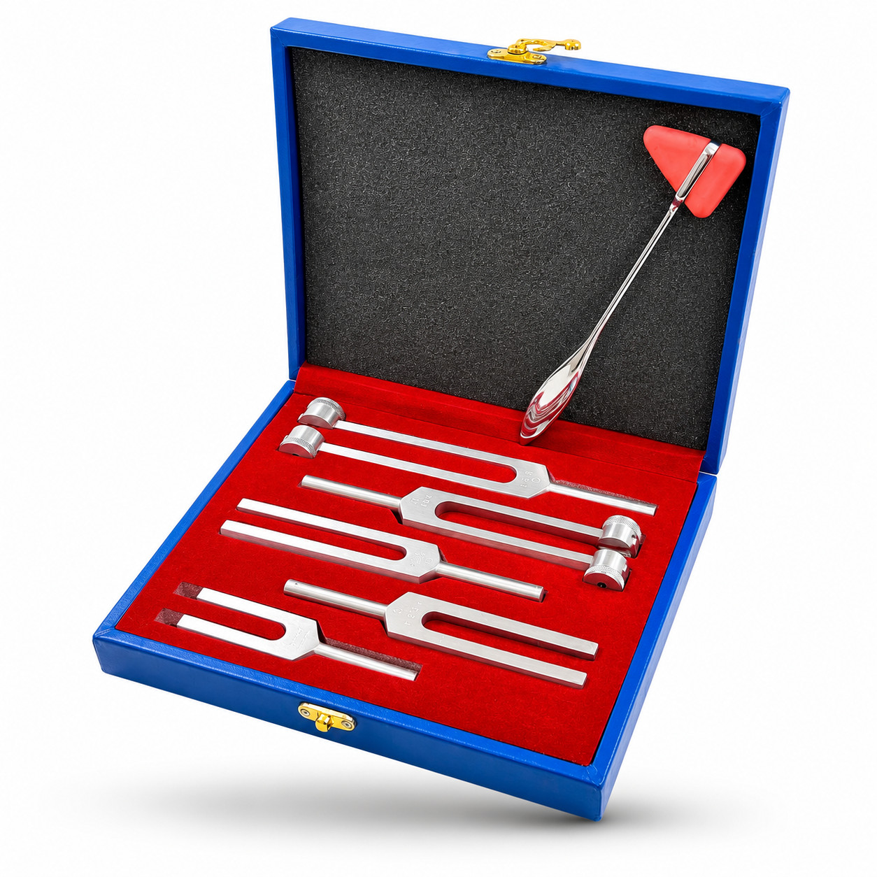 6 Tuning Fork Set Medical Chiropractic Physical Diagnostic instruments-W/HARD CS