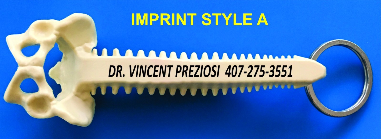 1000 PERSONALIZED SPINE KEY TAGS – KEY CHAIN – BAG OF BONES – CHIROPRACTIC