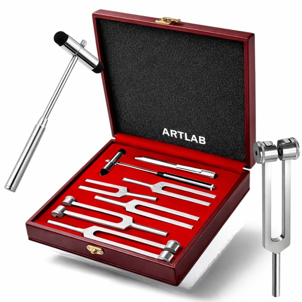 PREMIUM 6 Tuning Fork Set Medical Chiropractic Diagnostic instruments W/TAYLOR