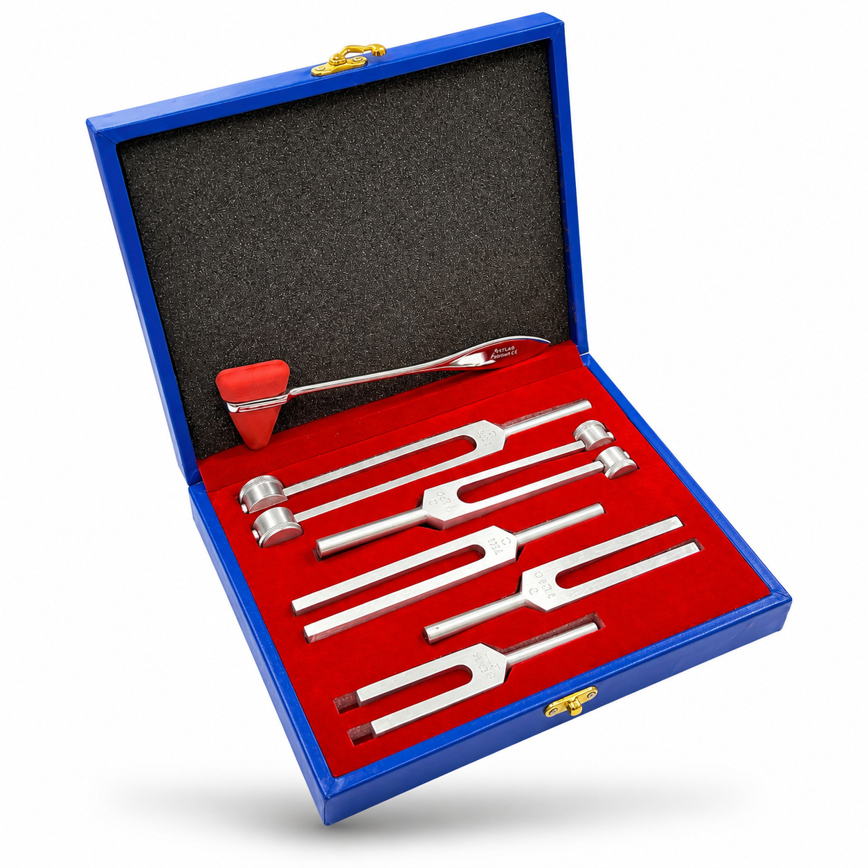6 Tuning Fork Set Medical Chiropractic Physical Diagnostic instruments-W/HARD CS