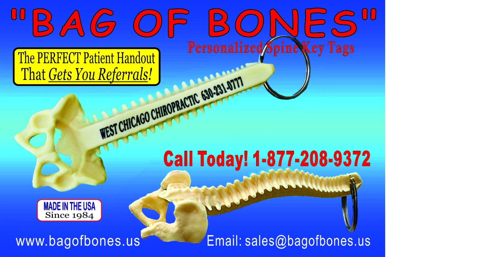 1000 PERSONALIZED SPINE KEY TAGS – KEY CHAIN – BAG OF BONES – CHIROPRACTIC