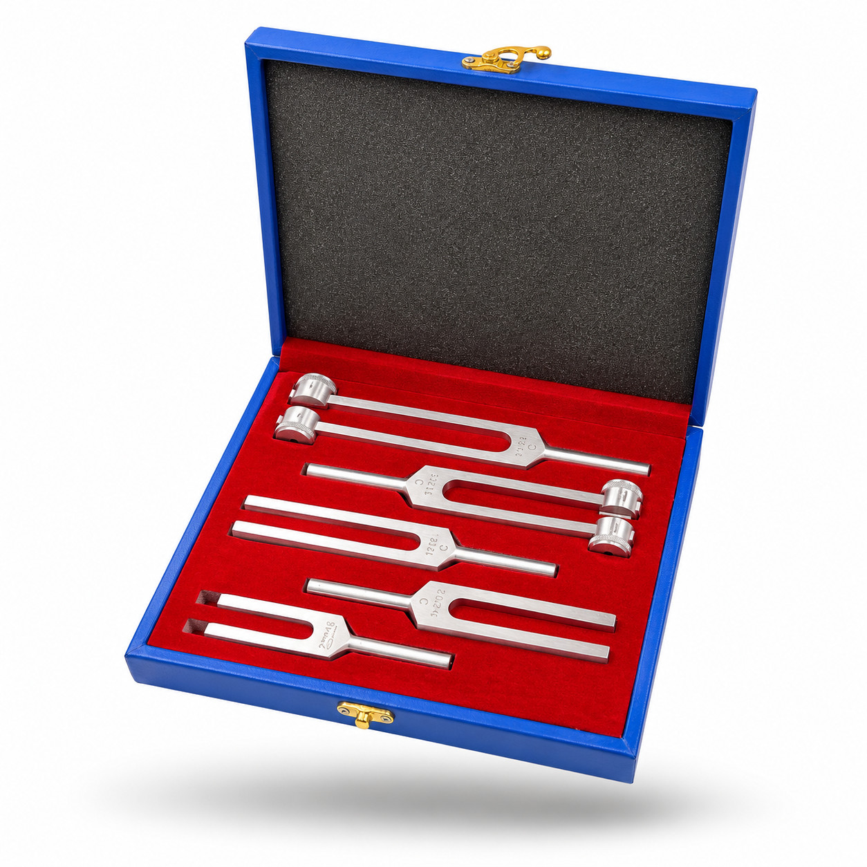 6 Tuning Fork Set Medical Chiropractic Physical Diagnostic instruments-W/HARD CS