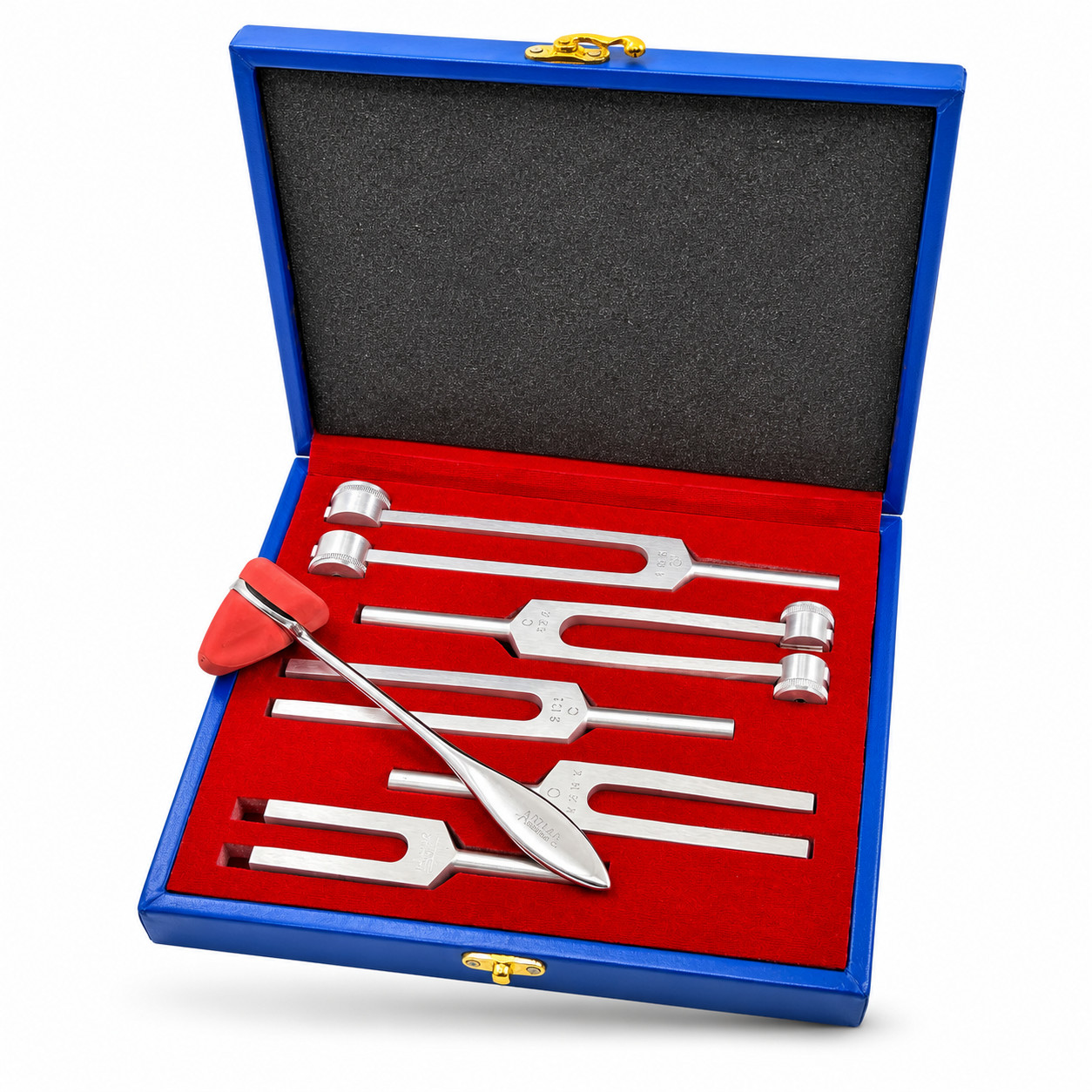 6 Tuning Fork Set Medical Chiropractic Physical Diagnostic instruments-W/HARD CS